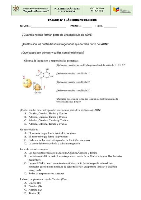 Supletorio talleres compress