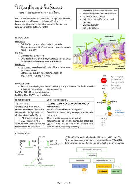 BQ 9 Membranas 