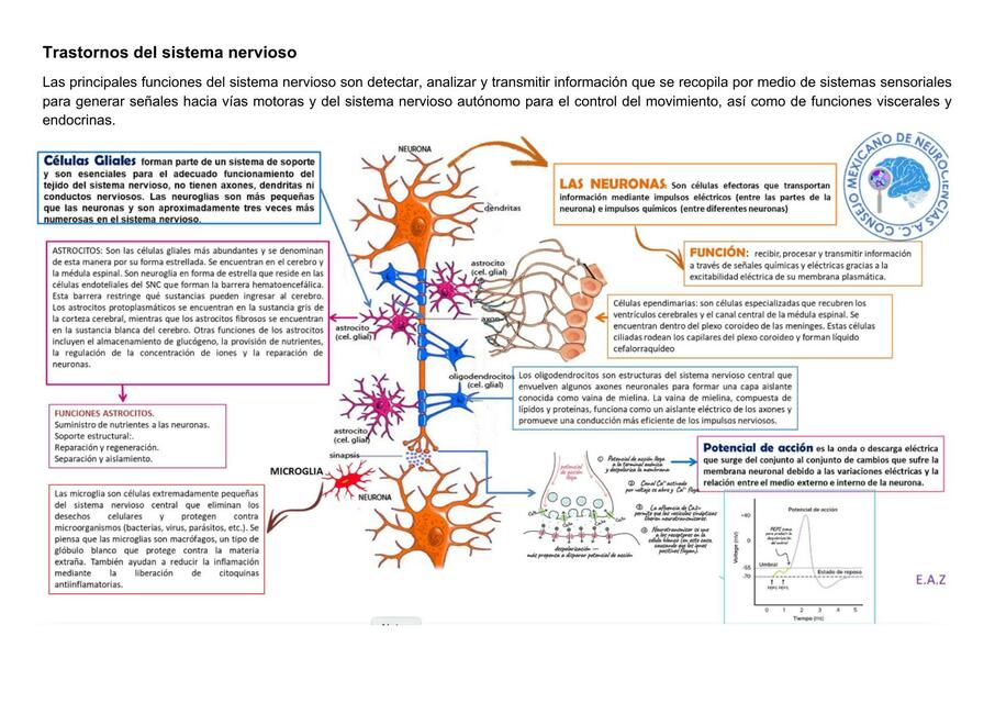 PATOLOGíA DEL SISTEMA NERVIOSO