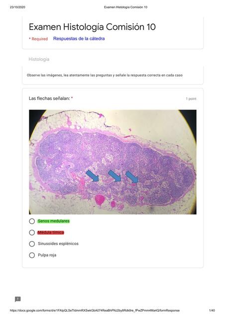 Examen Histologia