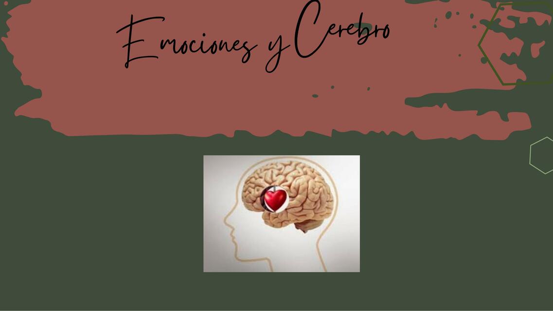 emociones y cerebro