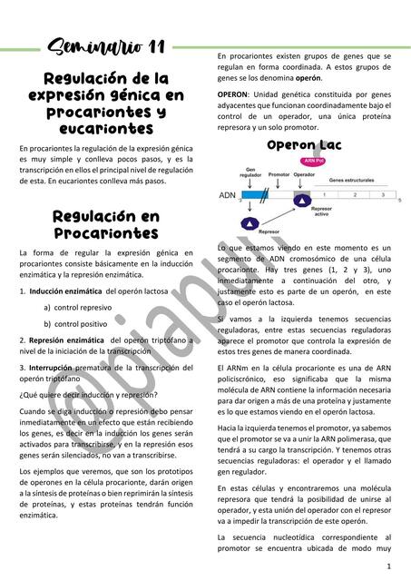 Biología Celular SEM 11 UBA CAT 3