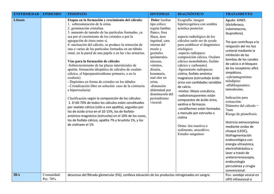 Patologías Renales 