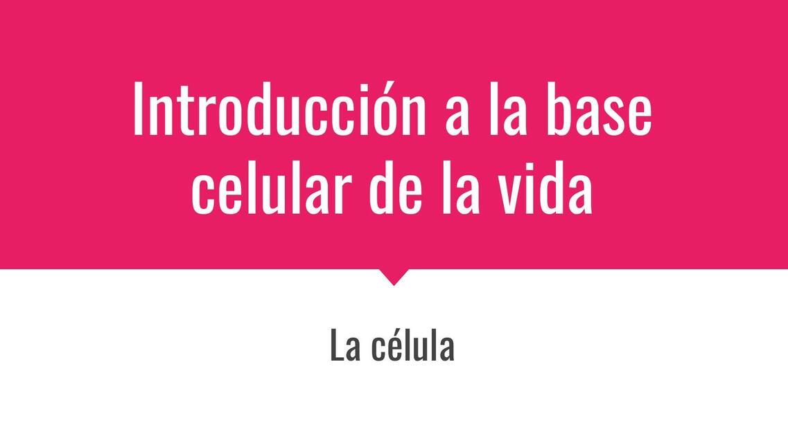 Introducción a la Base Celular de la Vida