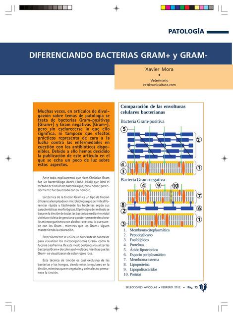 Diferenciando Bacterias Gram+ y Gram-