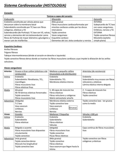 Sistema Cardiovascular -Histologia