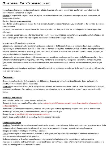 Sistema Cardiovascular 