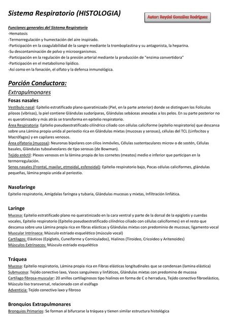 Sistema Respiratorio -Histología