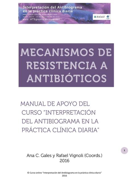 Mecanismos de Resistencia a Antibióticos 