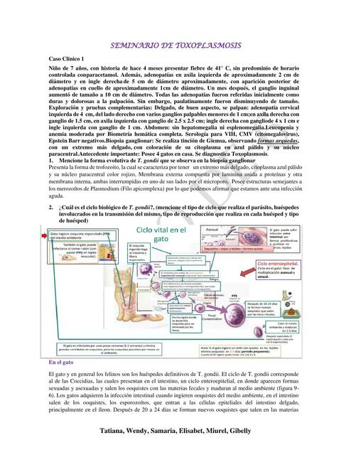 Seminario de Toxoplasmosis 