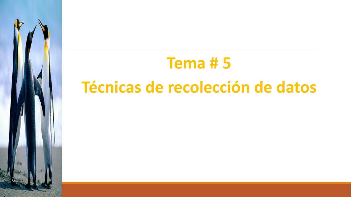 Técnicas de Recolección de Datos 