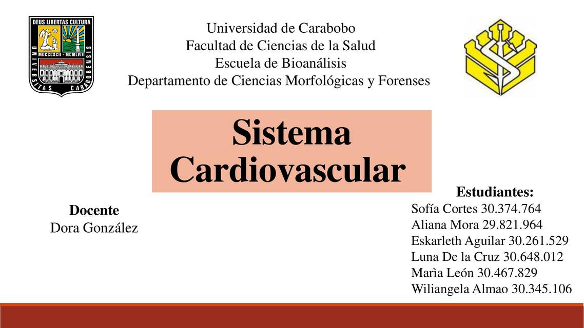 Sistema Cardiovascular 