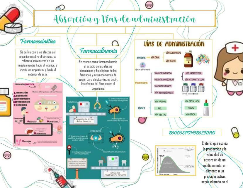 Absorción y vías de administración N2