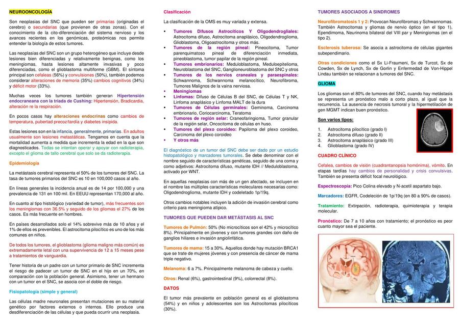 13 NEUROONCOLOGÍA