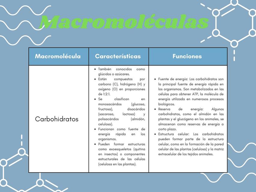 Macromoléculas