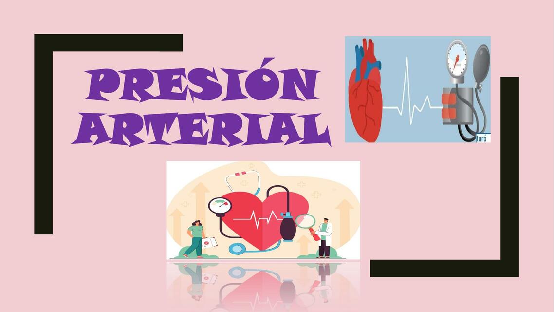 Temas Resumidos de sector salud 