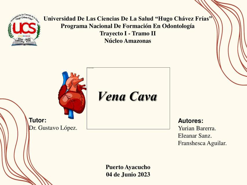 Vena cava