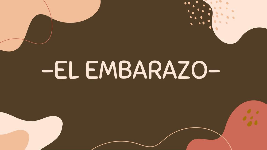 El embarazo