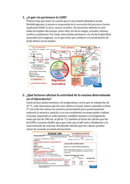 A que vía pertenece el LDH 