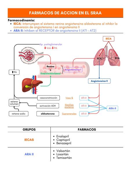 FÁRMACOS DE ACCIÓN EN EL SRAA