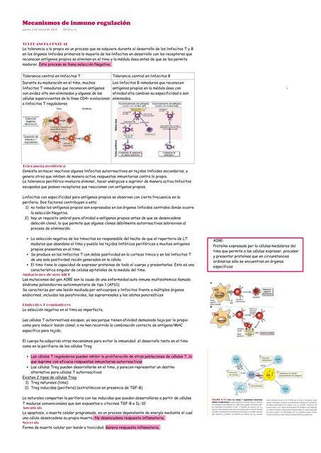 Mecanismos de inmuno regulación