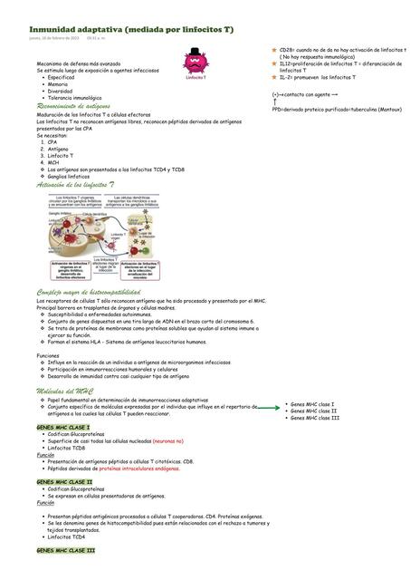 Inmunidad adaptativa mediada por linfocitos T