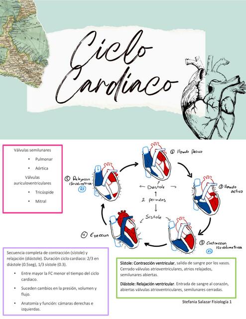 Ciclo Cardiaco