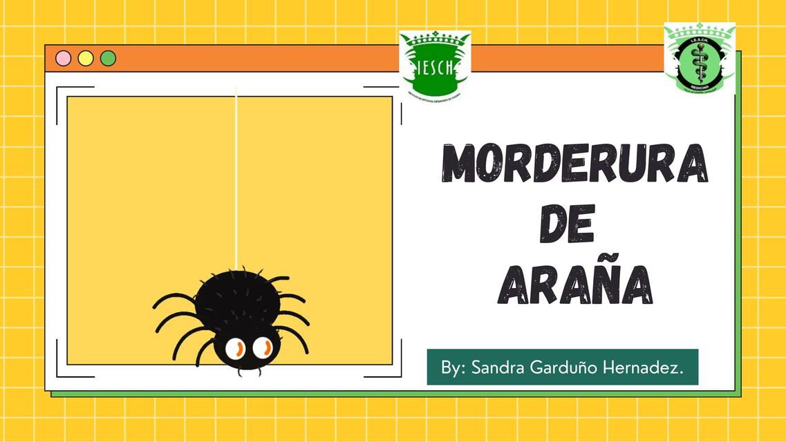 MORDERURA DE ARAÑA