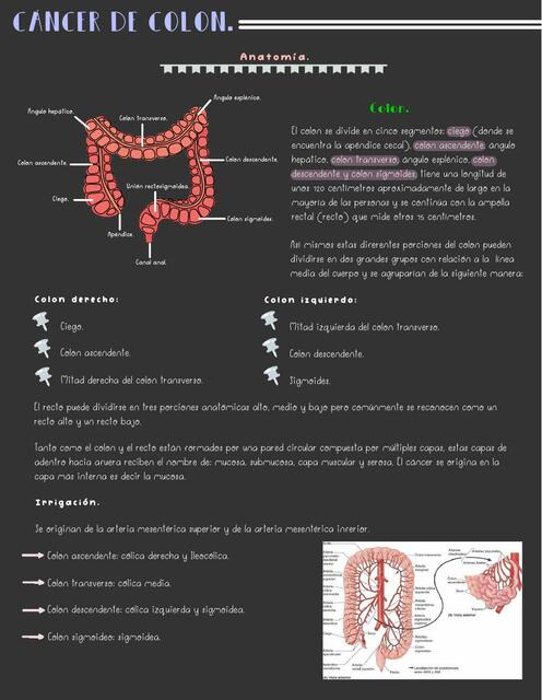 Cáncer De Colon