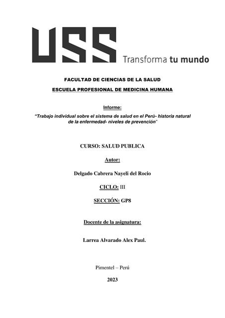 Trabajo Individual sobre el Sistema de Salud en el Perú- Historia Natural de la Enfermedad- Niveles de Prevención