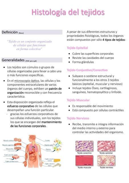 Histología del tejidos