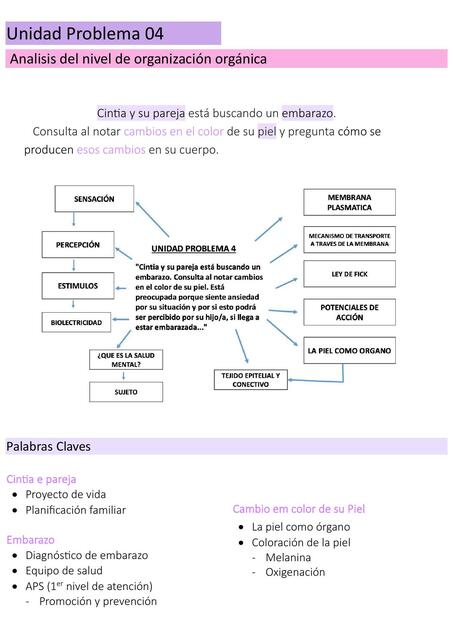 Análisis del Nivel de Organización Orgánica 