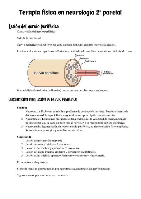 Terapia física en neurología 2 parcial