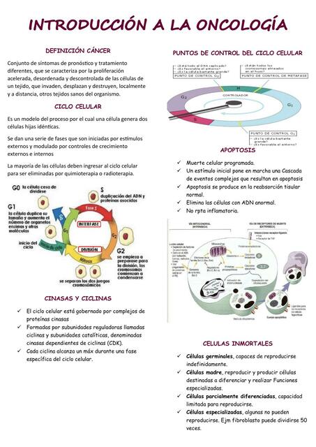 Introducción a la oncología