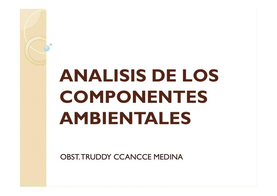 Análisis de los Componentes Ambientales 