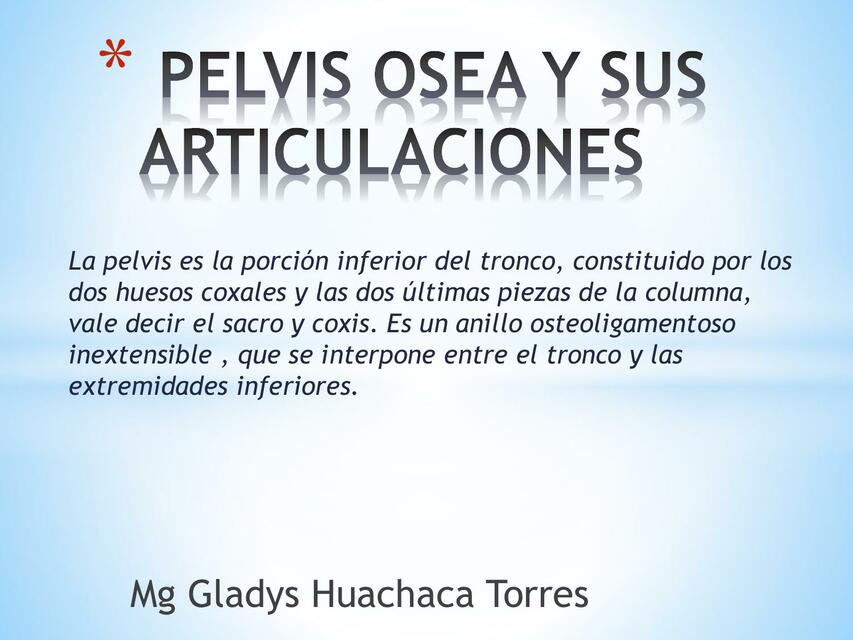 Pelvis osea y sus articulaciones