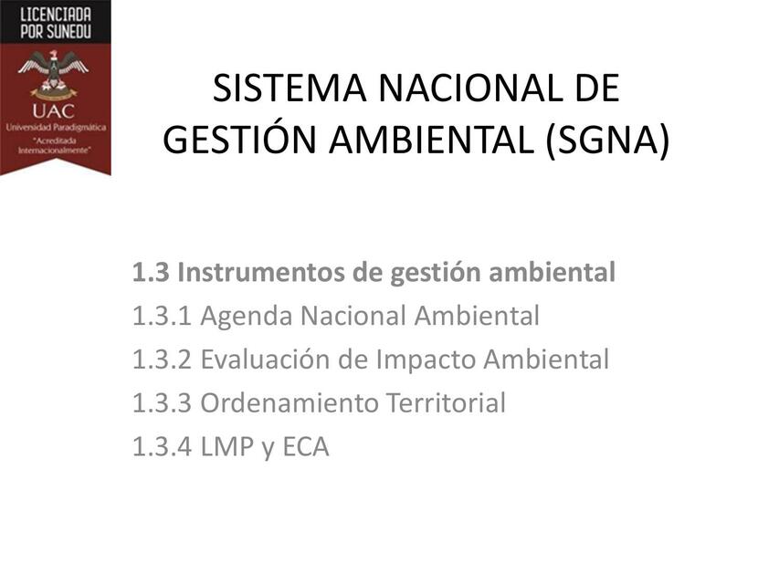 Sistema nacional de gestion ambiental