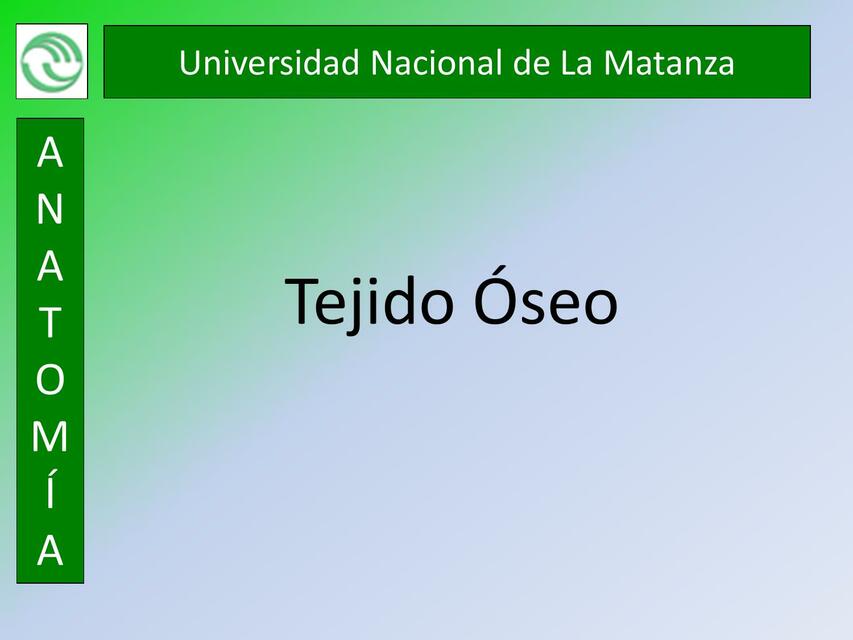 Tejido Óseo 