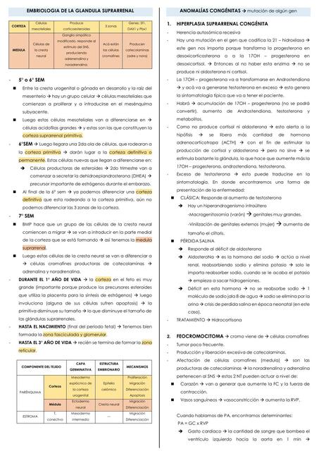 Semiología de la Glándula Suprarrenal 