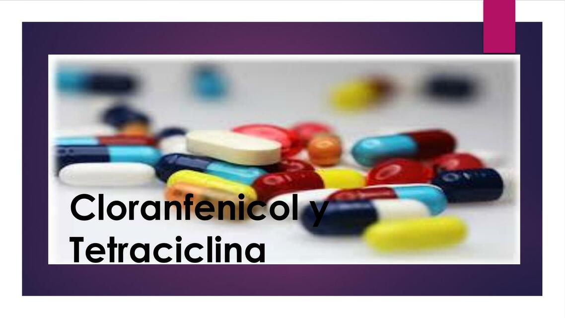 Cloranfenicol y Tetraciclina | Brenda Ardaya | uDocz