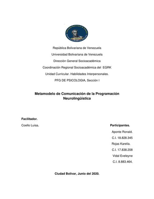 Programación Neurolingüística analisis critico ori