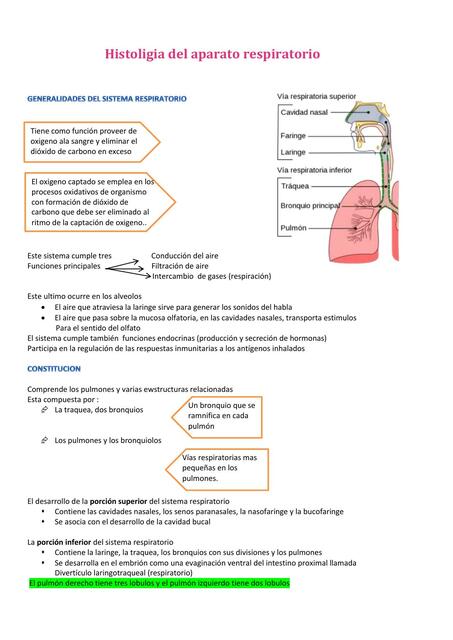 Histología del sistema respiratorio