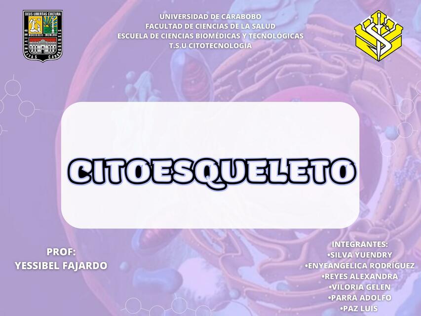 Citoesqueleto