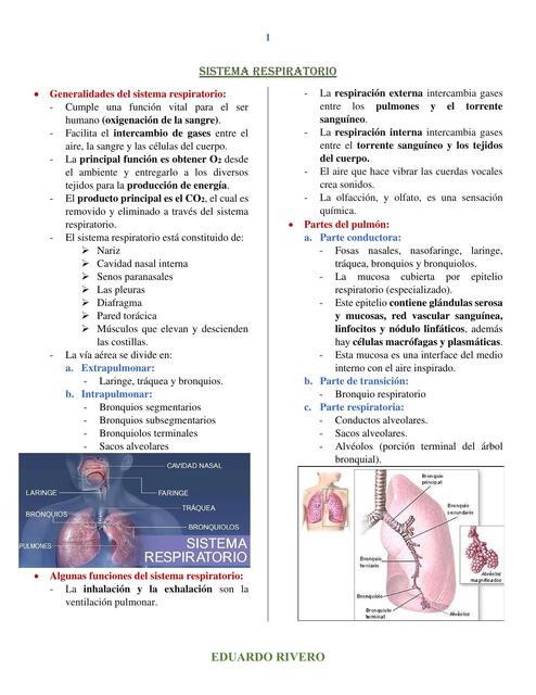 Sistema Respiratorio Histología Eduardo Rivero Udocz