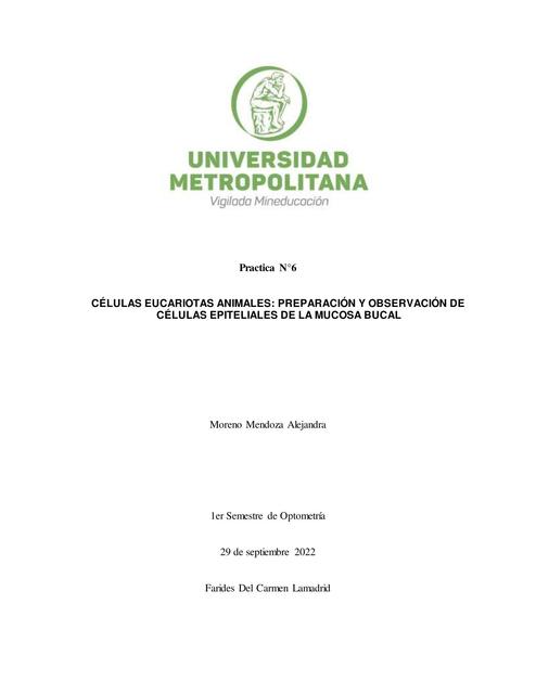 Células eucariotas animales: preparación y observación de células epiteliales de la mucosa bucal 