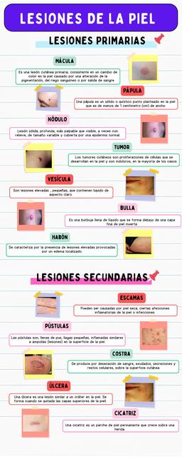 Lesiones de la piel lesiones  primarias y secundarias  