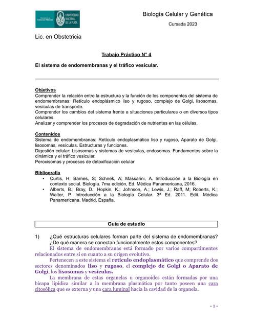 El Sistema de Endomembranas y el Tráfico Vesicular 