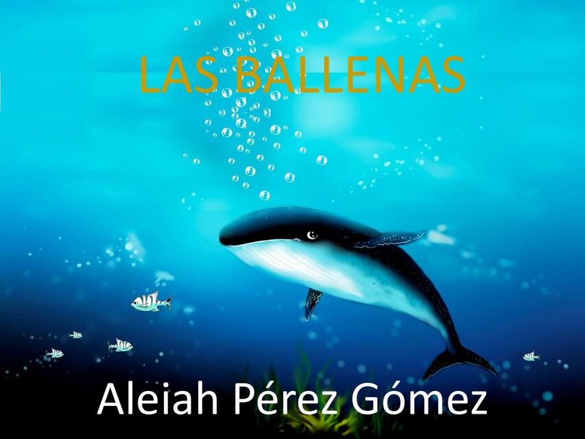 Las ballenas