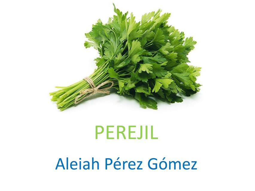 Perejil