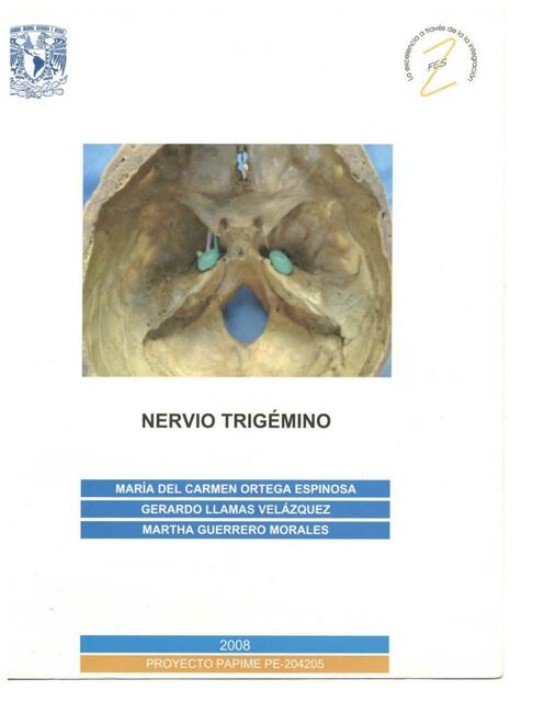 Nervio Trigémino